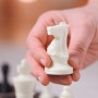 체스퀸으로 배우는 체스규칙과 두는법