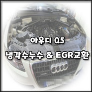 [아우디 Q5] 엔진경고등 및 냉각수 누수 및 EGR 밸브, 필터 하우징 교환