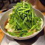 후쿠오카 하카타 모츠나베 맛집, 1인 혼밥 가능 라쿠텐치 요도바시 하카타역점.