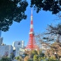 [도쿄] 멘야무사시//도쿄타워 포토스팟 찾아다니기/조죠지, 토후야 우카이, 시바공원