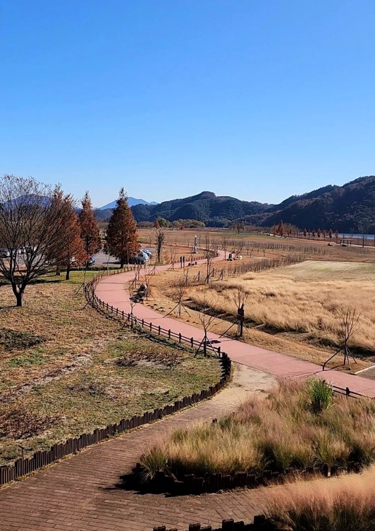 낙동강변 도시숲 남지억새전망대 남지개비리길 입구...