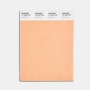 팬톤(PANTONE) 2024년 올해의 컬러 "피즈 퍼즈(Peach Fuzz)