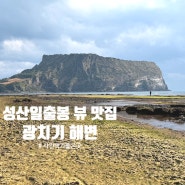 [제주여행] 광치기해안에서 성산일출봉 찍기