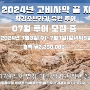 [테마상품]2024년 7월 몽골여름 고비사막 차강소브라가 U턴 투어 모집 중
