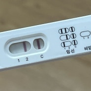 임신4주 증상, 임신의 세계는 어려워!