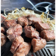 연산역 맛집 양갈비가 맛있는 히츠지야 연산역점