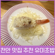 천안 맛집 추천 퀄리티 좋은 가성비 갑 회전초밥!