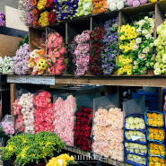 서울 양재 꽃시장 생화 시장 주차 영업시간 및 방문 팁