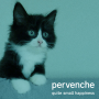 Pervenche - Quite Small Happiness (2021)