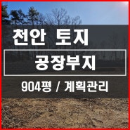 [천안토지] 천안동남구 성남면 공장부지 904평 계획관리. 토목공사완료. 천안공장부지토지매매