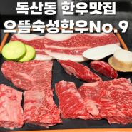 금천구청역 한우 맛집 으뜸숙성한우 No.9 메뉴 주차정보