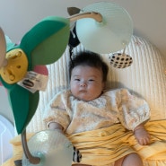 3개월 4개월 아기 장난감, 책 추천