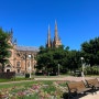 아이와함께 호주여행 :: 시드니 세인트메리 대성당, 하이드파크