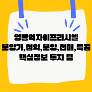 영통역자이 프라시엘 분양가, 청약, 모델하우스, 전매, 특공 핵심 정보 투자 팁