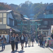 도쿄 근교 가마쿠라 에노시마 당일치기 여행 일기 1편: 에노시마 신사, 전망등대, 이와야 동굴 등