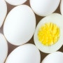계란 노른자와 콜레스테롤 진실은?