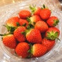 울산 북구 딸기따기 체험 나리팜&나리베리 딸기농장 딸기쨈 만들기