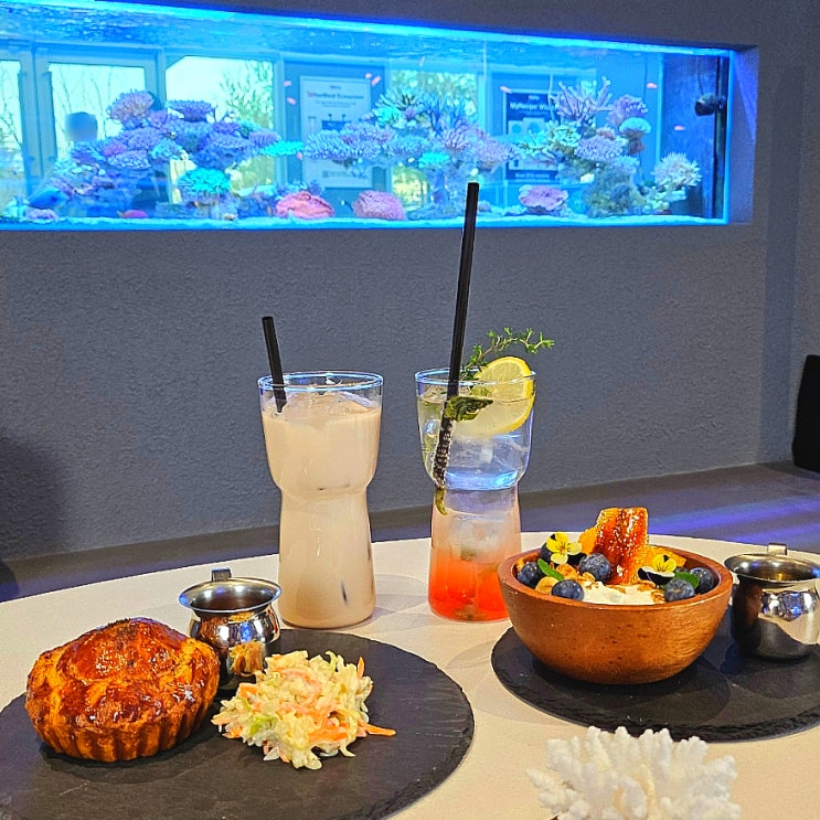 서울여행 수서역 카페 카페쉘리 수족관 아쿠아리움 이색체험