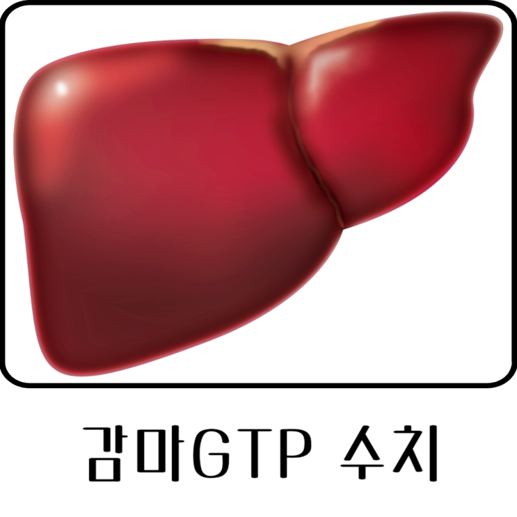 감마지티피 수치 높음 GTP 간수치 낮추는 방법 : 네이버 블로그
