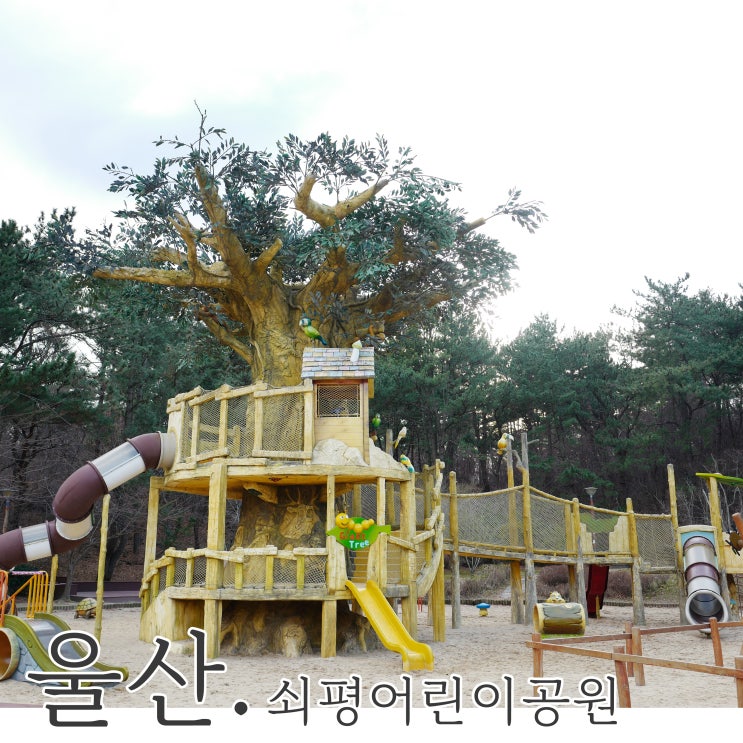 울산 쇠평어린이공원 큰 나무가 있는 놀이터