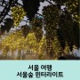 서울숲 크리스토퍼 바우더 설치 전시 겨울빛 윈터 라이트