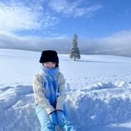 [홋카이도3일차] 비에이후라노투어(흰그림자투어) • WAKAMUSHA 이자카야