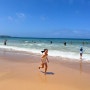 아이와함께 호주여행:: 맨리 비치 Manley beach