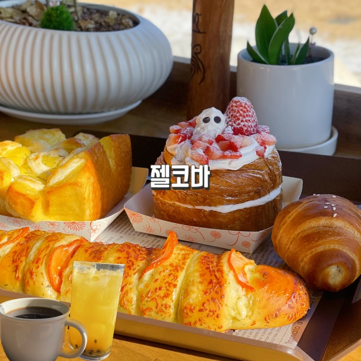 용문산 빵맛집 뷰맛집카페 젤코바