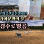 문화유산방문캠페인 가야문명의 길 김해 김수로왕릉