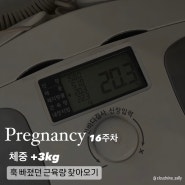 임신하고 안정기라고 푹 쉬면 근육 다 빠져요 🤣 새해 목표와 시작