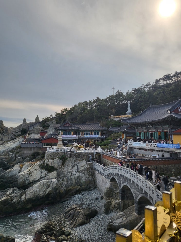 해동용궁사/해동용궁사/스카이라인 루지/부산 루지/루지