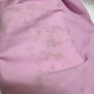 [배럴] 우먼 모션 크롭 집업 래쉬가드 핑크 온몸 곰팡이
