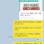 2024년 1월 기쁜 소식 모음 (feat. 블로그챌린지, 블로그관리대행, 구독자 증가 까지)