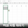 엑셀 자동 채우기 가로 세로 단축키