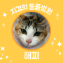 부산 남구 용호동 지경희 동물병원 - 고양이 암컷 중성화 수술