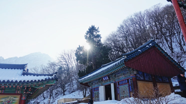 [속초여행] 겨울 설악케이블카 시간 주차 권금성 봉화대 안락암