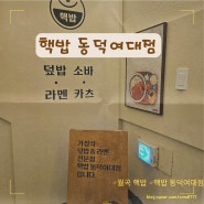 [월곡 /맛집] "핵밥 동덕여대점"