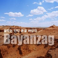 몽골 여행 바얀작 낙타인형 기념품 은하수 찍기 좋은 바양작
