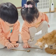 세종근교 아이와 가볼만한 고양이카페: 공주 노라쥬 (정글스토리)