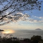 [경남/거제] 거제 가볼만한 곳 “장사도 까멜리아 해상공원”