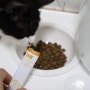 고양이 유산균 추천 :: 마이베프 필랩 신바이오틱스로 고양이 변비 잡기