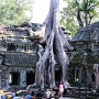 캄보디아,12세기 지어진 타프롬 사원 & 사원을 휘감은 거대한 나무들 경이롭다 세계여행안내45년 비나리투어 여행디자이너