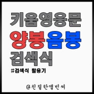 키움영웅문 - 양봉 / 음봉 검색식 만들기