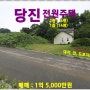 [당진 전원주택 매매] 당진시 면천면 율사리 소재 / 전원별장 20평,환황해권 중심도시 당진, 여유로운 휴식을 즐길 수 있는 숲 속에 집,