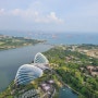 2023 싱가포르 여행 ep.6 마리나베이샌즈 스카이덱, 샌즈 스카이파크 전망대