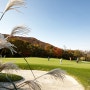 블루원상주CC , 골퍼들이 가장 선호하는 베스트 골프장에서 즐기는 골프여행 (ft. 골프텔)
