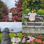 제주도 휴애리자연생활공원 동백축제 유채꽃명소 겨울제주도 가볼만한곳으로 추천!
