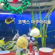 서울 아이와 가볼만한곳 코엑스 아쿠아리움 입장권 할인 별마당 도서관