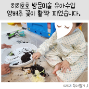 [33개월아이] 히히호호 홈문센 방문미술 유아수업 '양배추 꽃이 활짝 피었습니다' 꽃양배추 촉감놀이