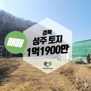 경북 성주군 대가면 칠봉리 토지매매 농막과 버섯재배사 갖춘 토지 전기 및 지하수 사용 가능